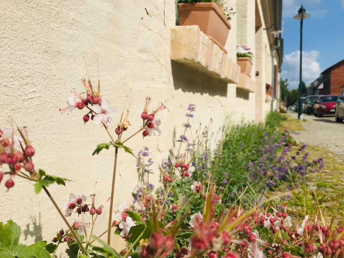 Klein Aber Fein In Der Altstadt Angermunde Exterior foto